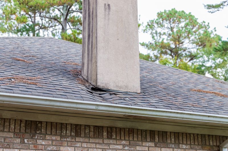 Chimney Inspection